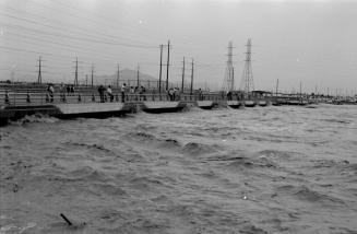 Salt River Flood, McClintock Bridge, Tempe, Arizona