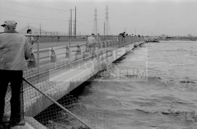 Salt River Flood, McClintock Bridge, Tempe, Arizona