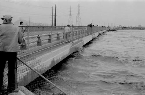 Salt River Flood, McClintock Bridge, Tempe, Arizona