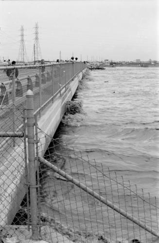 Salt River Flood, McClintock Bridge, Tempe, Arizona