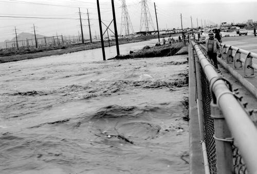 Salt River Flood, McClintock Bridge, Tempe, Arizona