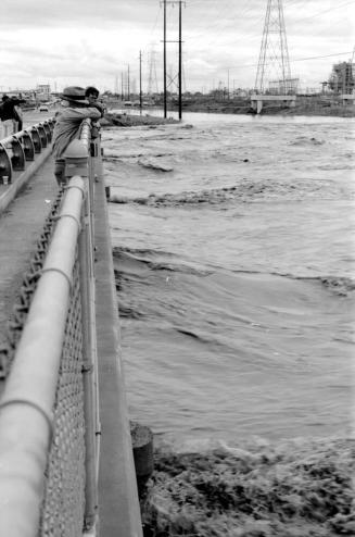 Salt River Flood, McClintock Bridge, Tempe, Arizona
