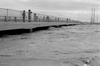 Salt River Flood, McClintock Bridge, Tempe, Arizona