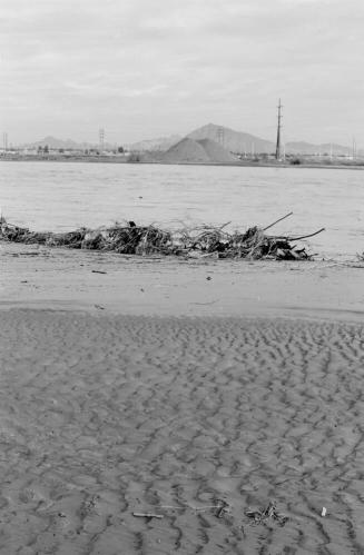 Salt River Flood, Tempe, Arizona