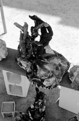 Sculpture at the Hayden's Ferry Arts & Crafts Festival in Spring 1974