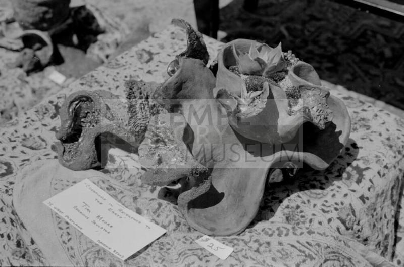 Hayden's Ferry Arts & Crafts Fair in Spring 1974