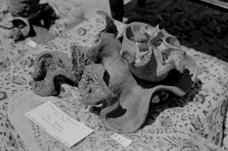 Hayden's Ferry Arts & Crafts Fair in Spring 1974