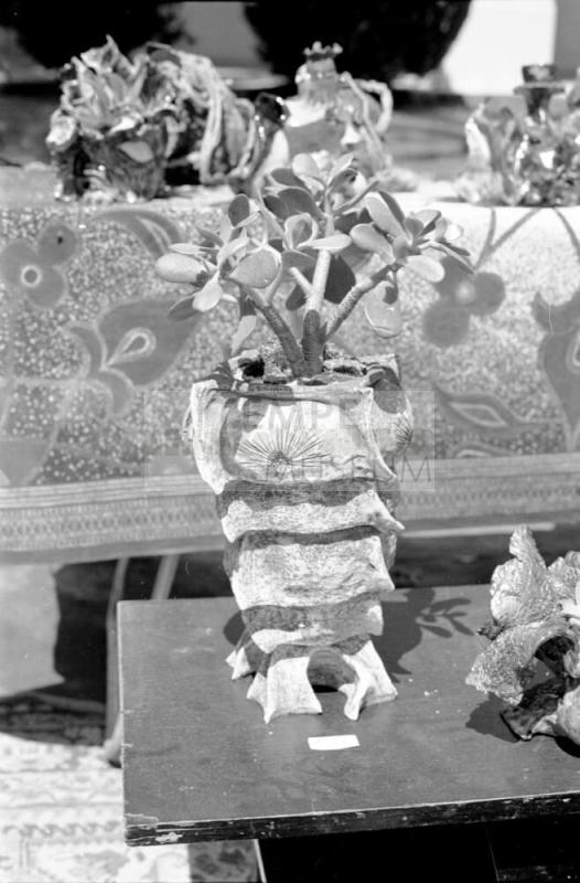 Hayden's Ferry Arts & Crafts Fair in Spring 1974