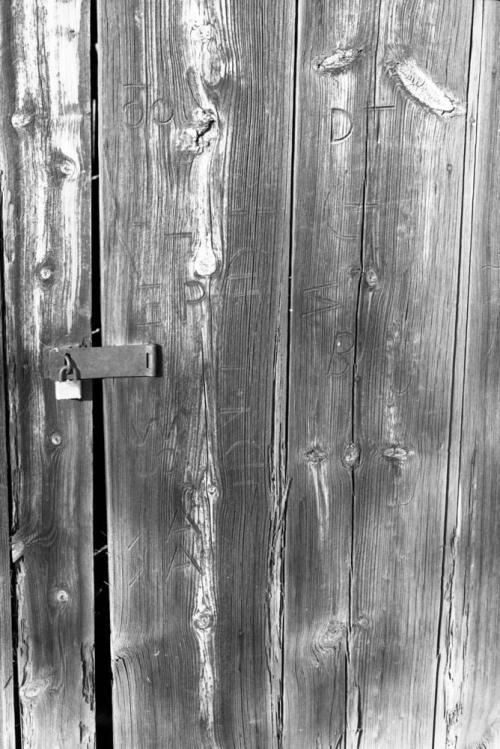 Wood Wall