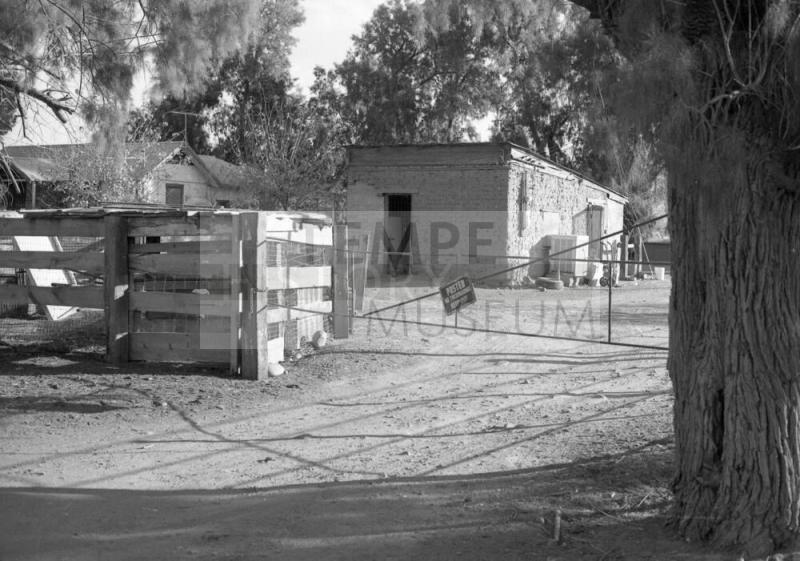 Neighborhood Scene