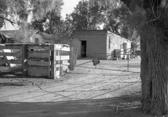 Neighborhood Scene