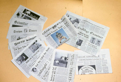 Collection of Local Newspapers Collected by Tempe Daily News