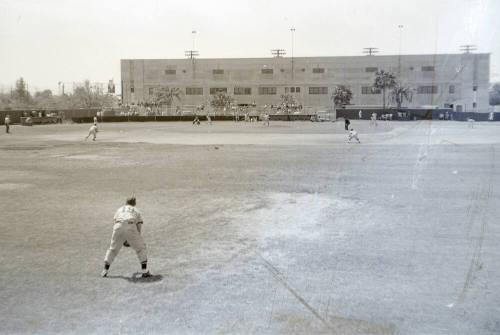 Arizona State University Baseball at Goodwin Stadium