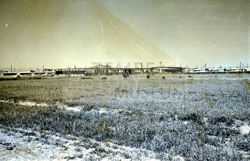 Farm Field