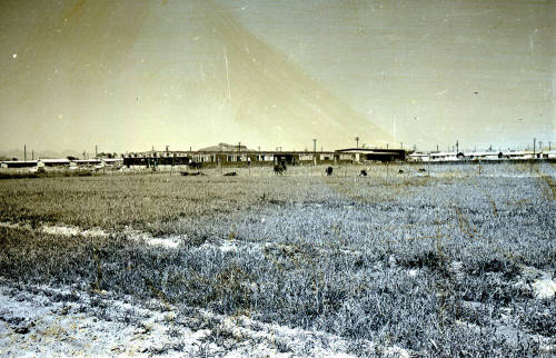 Farm Field