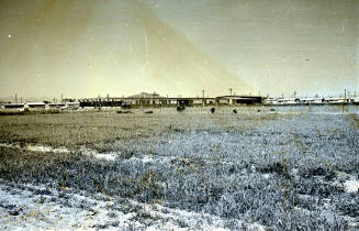 Farm Field