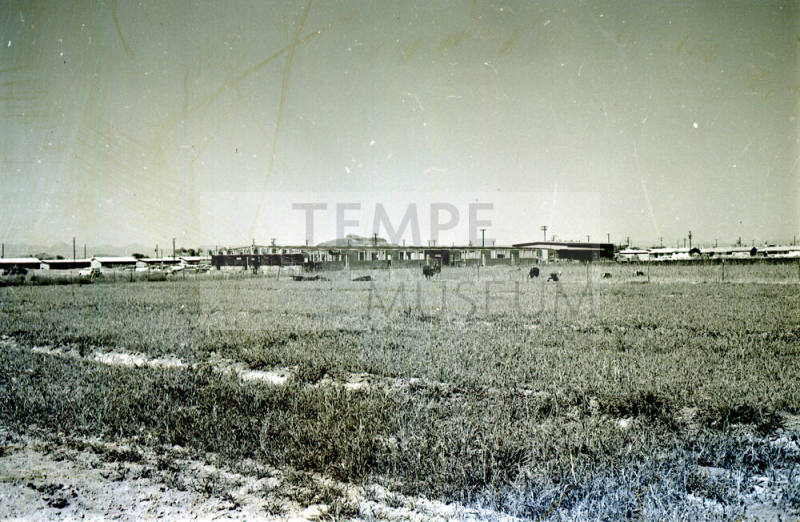 Farm Field