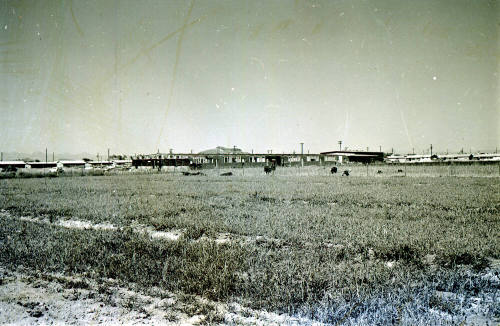 Farm Field