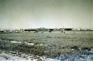 Farm Field