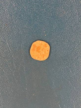 Shell disk