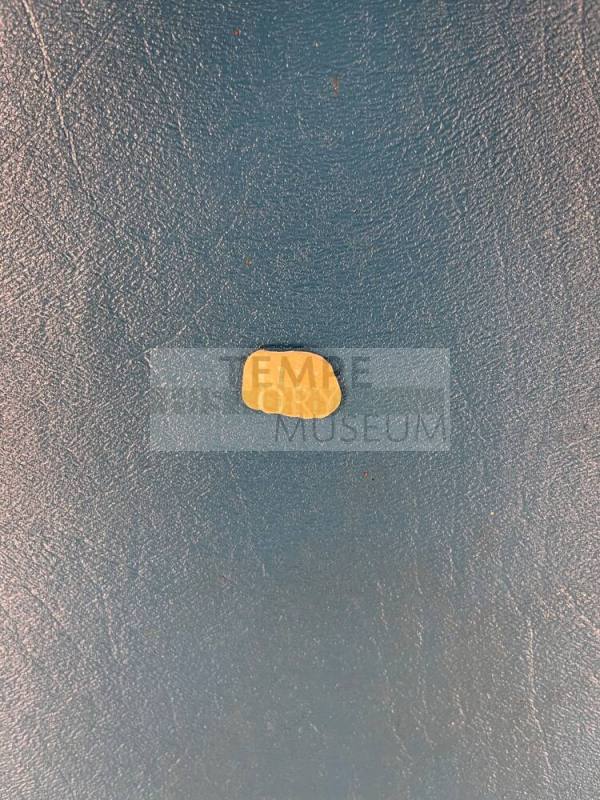 shell charm, Native American