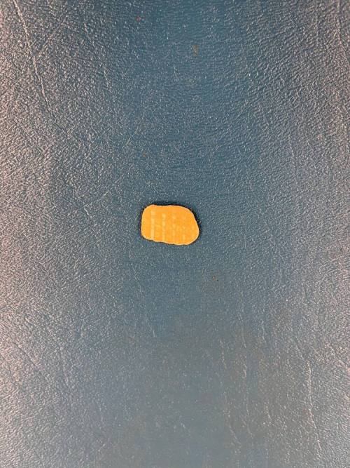 shell charm, Native American