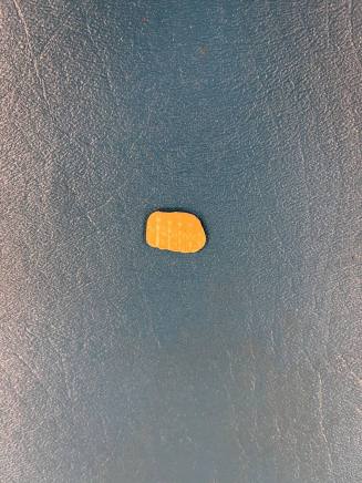 shell charm, Native American