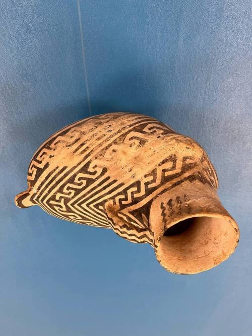 Anasazi Effigy Duck Vessel