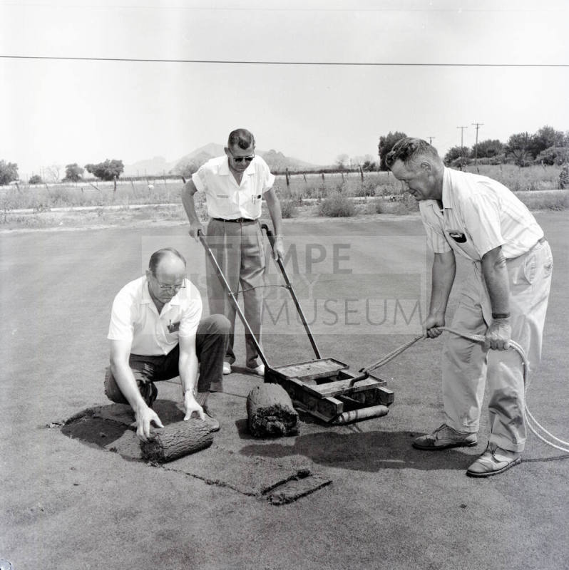 Three Men Laying New Sod