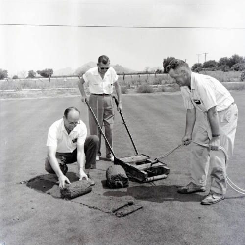 Three Men Laying New Sod
