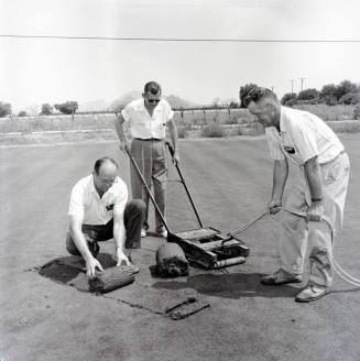 Three Men Laying New Sod