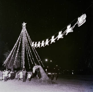 Christmas Lighting Ceremonies
