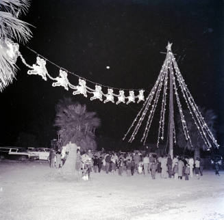 Christmas Lighting Ceremonies