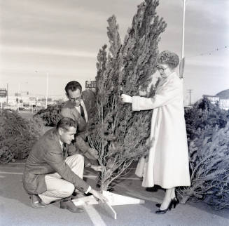 Kiwanis Club Christmas Tree Sale Promotion at Tempe Center