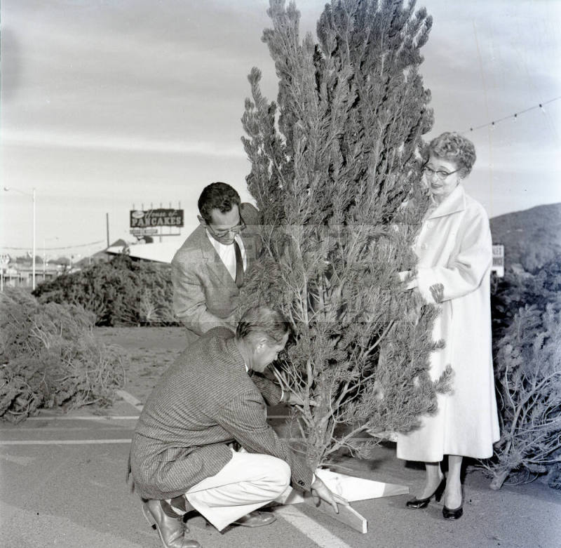 Kiwanis Club Christmas Tree Sale Promotion, Tempe Center