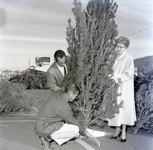 Kiwanis Club Christmas Tree Sale Promotion, Tempe Center