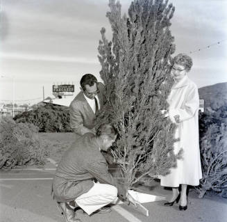 Kiwanis Club Christmas Tree Sale Promotion, Tempe Center