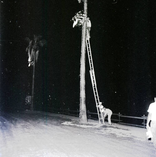 Papa-Go Golf Course At Night