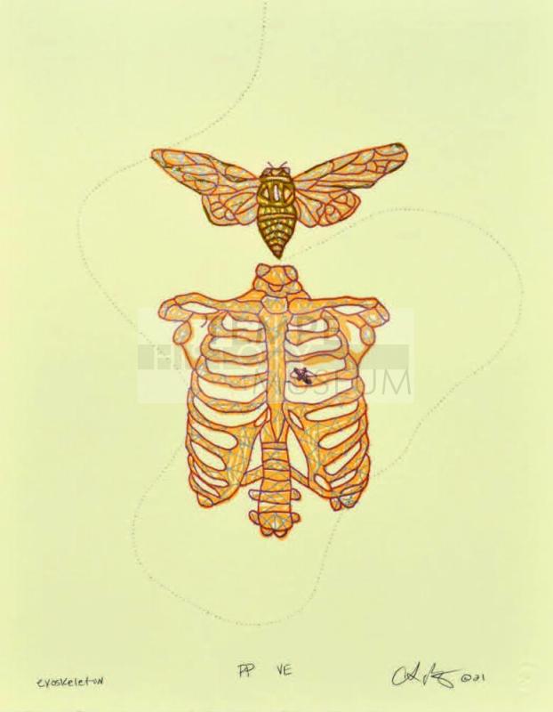 Exoskeleton