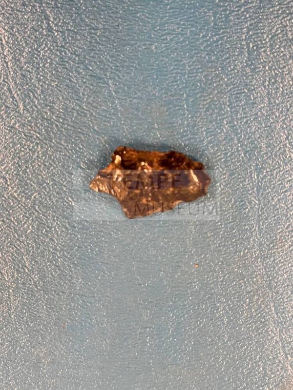 Obsidian projectile point