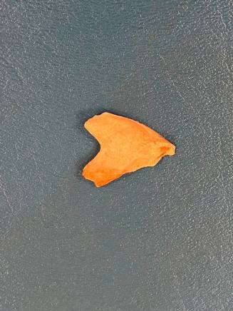 point, projectile