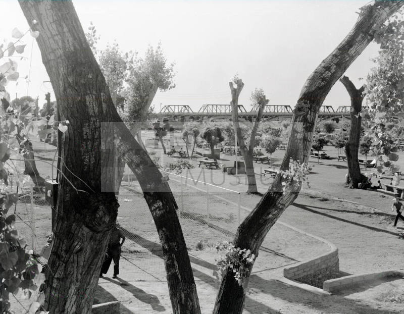 Tempe Beach Pool Picnic Area