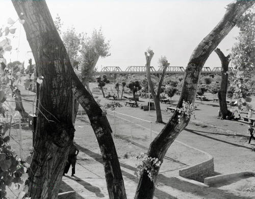 Tempe Beach Pool Picnic Area
