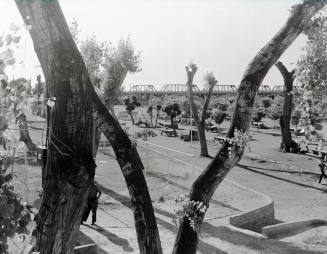 Tempe Beach Pool Picnic Area