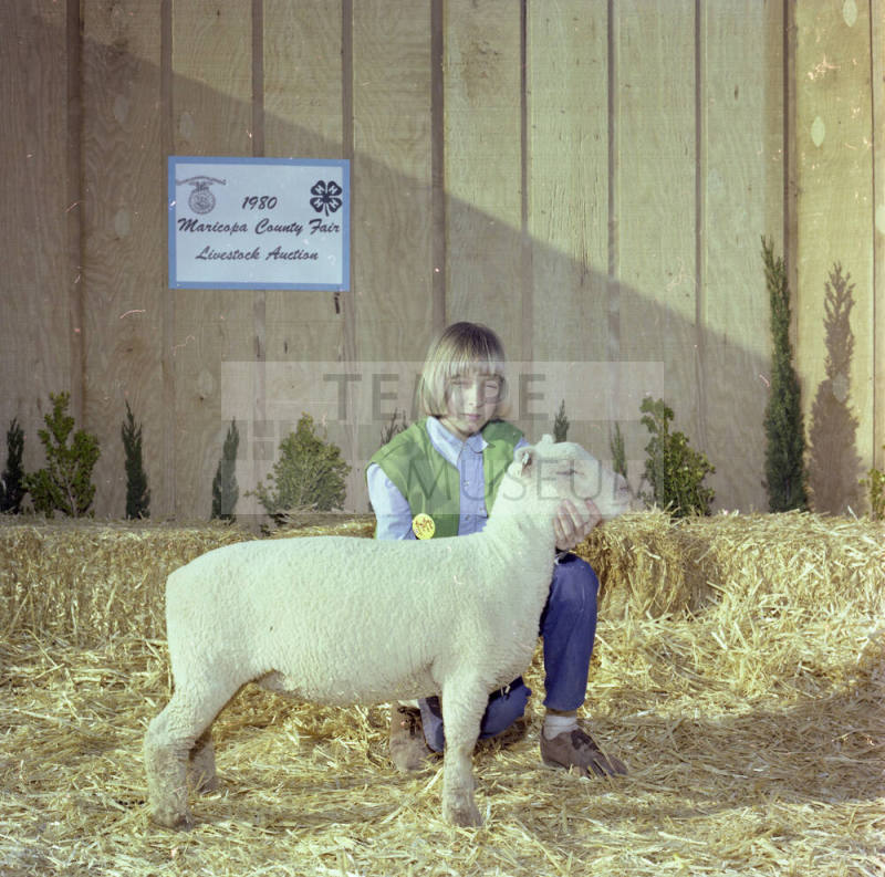 Girl with Sheep at Maricopa County Fair