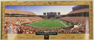 Sun Devil Football Team Poster