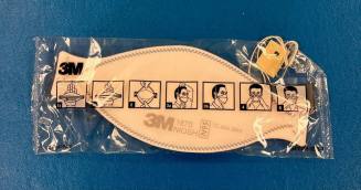 N95 Mask