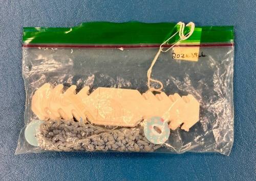 Collection of ear loop extenders