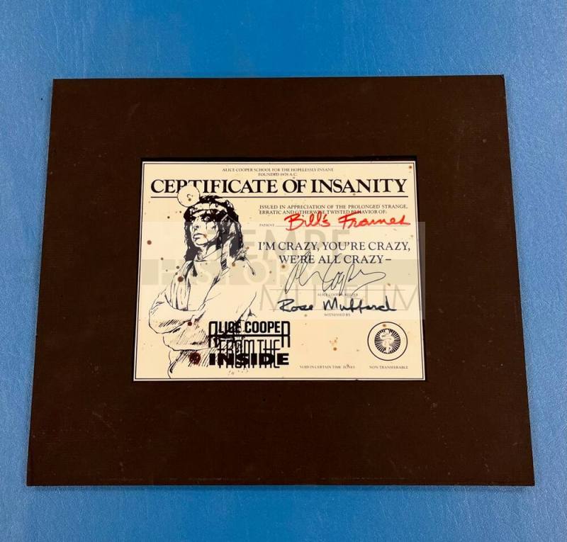 Allie Cooper Certificate of Insanity