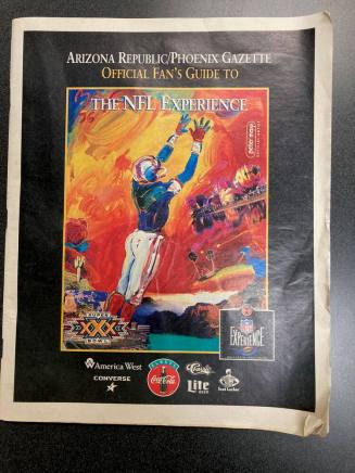 Super Bowl XXX - The NFL Experience Guide